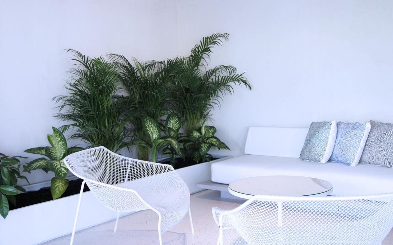 Apartament Ogarden Ateny Zewnętrze zdjęcie